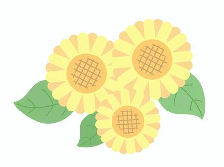 Simple sunflower flower icon illustration, , JPG, PNG and AI