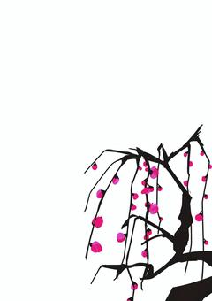 しだれ梅ポストカード 梅,しだれ梅,梅花,蕾,花,春,ポストカードのイラスト素材
