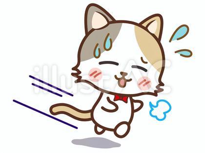 走る・急ぐ・息切れ/猫(カラー)