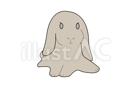 うさぎ(ドワーフ)