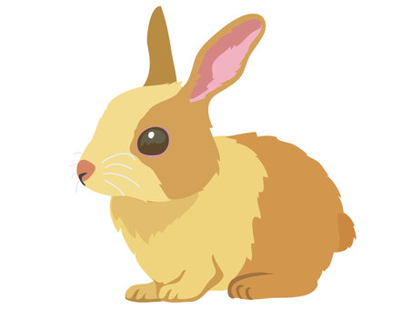 Illustration, rabbit, rabbit, animal, JPG, PNG and AI