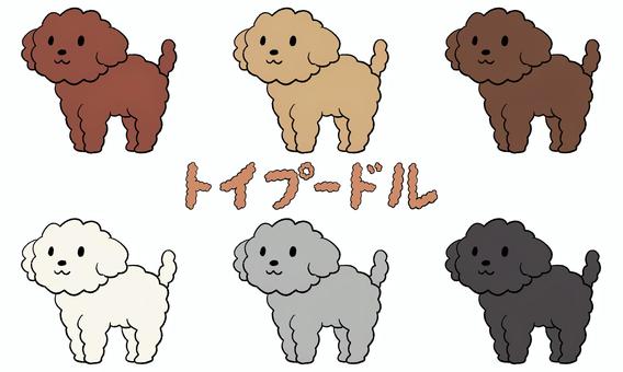 插圖, 插圖, 設置, 玩具貴賓犬, 