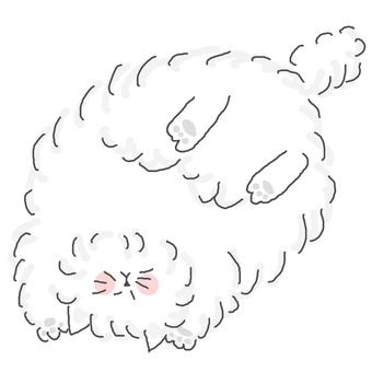 オッケーするねこちゃん♪ かわいい,オッケー,ok,返事,賛成,了解,了承,丸,仰向け,ごろごろのイラスト素材