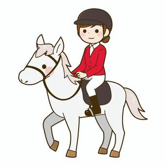 乗馬する女性（馬術） 馬術,乗馬,馬,女性,体験,動物,スポーツ,競技,かわいいのイラスト素材
