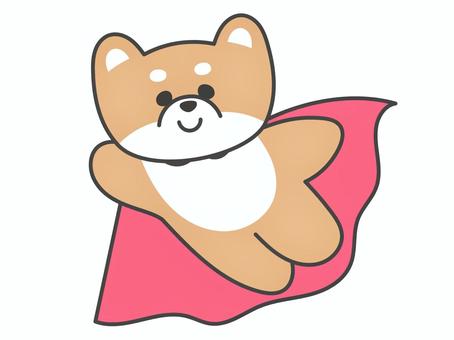柴犬のヒーローのキャラクター 柴犬,豆柴,犬,マント,ヒーロー,赤,飛ぶ,キャラクター,全身,かわいいのイラスト素材