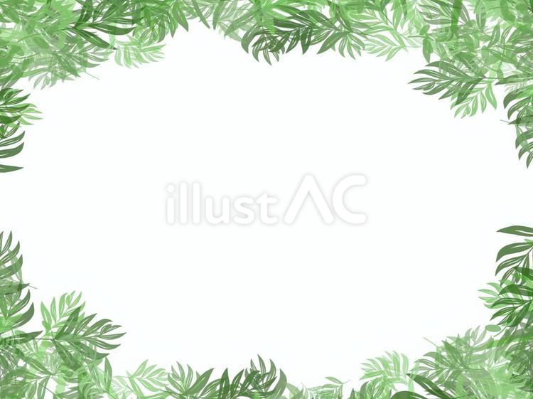 植物の飾りフレームその２ 植物,フレーム,葉のイラスト素材