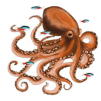 Illustration, octopus, tropical fish, neon tetra, 