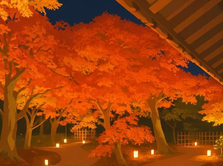 燃えるような紅葉のトンネル　錦秋の夜景 紅葉,秋,夜,夜景,ライトアップ,錦秋,燃える,トンネル,幻想的,寺院のイラスト素材