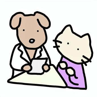 Illustration, counseling, dog, cat, 