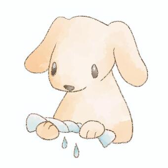 ぞうきんを絞るいぬ 犬,生き物,雑巾,掃除,水彩,鉛筆のイラスト素材