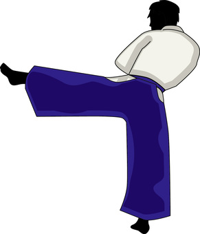 武道蹴り　 武道,蹴り,古武術,少林寺拳法,格闘技,袴,男性,シルエットのイラスト素材