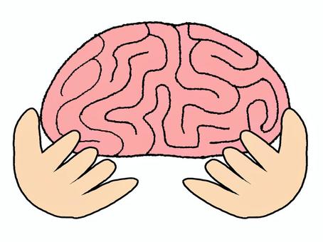 脳を大切にする手 脳,手,守る,大切,pop調,手描き,挿絵,ワンポイント,素材,商用可のイラスト素材