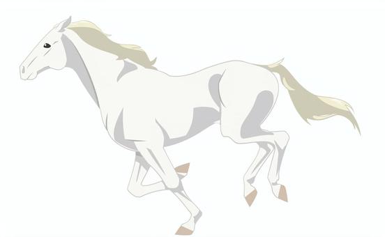 走るウマ（白毛）_4 馬,リアル,走る,イエウマ,動物,生き物,哺乳類,家畜,白毛,白馬のイラスト素材