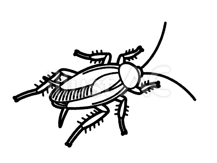 ゴキブリ（線のみ） ゴキブリ,あぶらむし,虫のイラスト素材