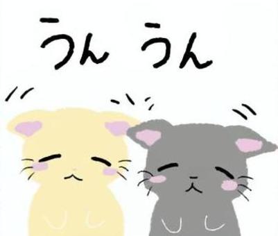 猫うなずく 猫,うん,うなずく,目をつむる,ゆるい,可愛い,イラストのイラスト素材