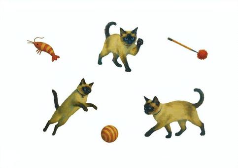 シャム猫の水彩風イラスト素材 シャムネコ,シャム猫,猫,ネコ,水彩,水彩風,イラスト,動物,ペット,かわいいのイラスト素材