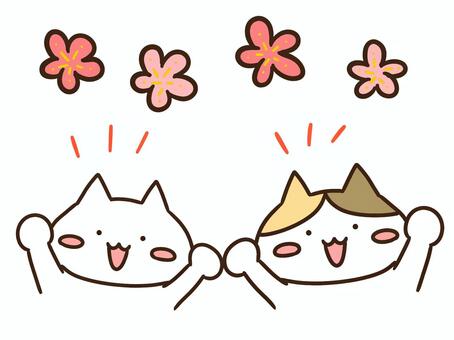 Illustration, cat, cherry-blossom viewing, plum, 
