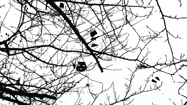 Illustration, winter, sky, trees, 