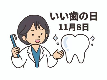 いい歯の日 歯,いい歯の日,11月8日,歯科医師,歯科,歯医者,歯ブラシ,歯磨き,案内,女性のイラスト素材