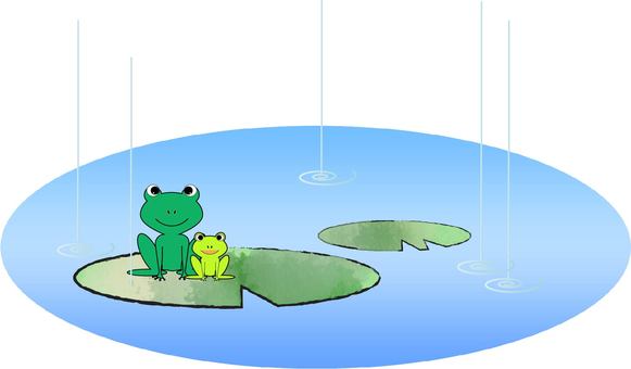 Illustration, a frog, rain, rainy season, 