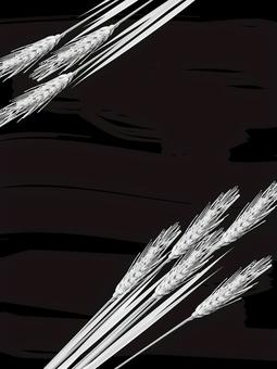 白黒の麦穂とブラックボード背景　009 麦穂,白黒,リアル,ナチュラル,お洒落,自然,植物,大人っぽい,枠,背景のイラスト素材