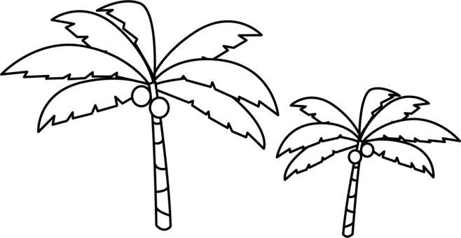 Illustration, palm tree, southern country, planting, 