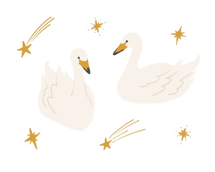 白鳥01 ハクチョウ,白鳥,鳥,トリ,星,流れ星,キラキラ,動物,ナチュラル,手書きのイラスト素材
