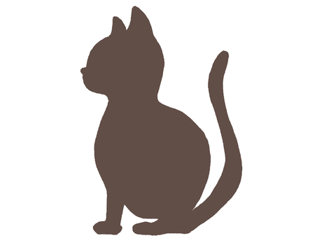 Cat, cat, sit, animal, JPG and PNG