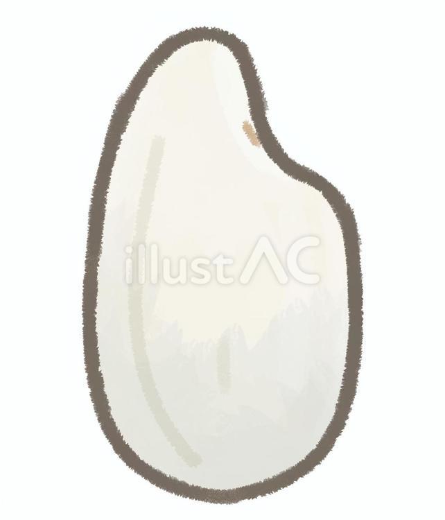 一粒の生米 米,精米,米粒のイラスト素材