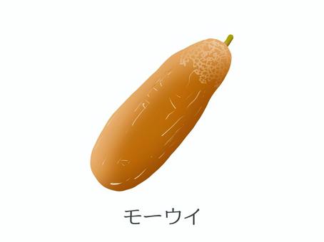 モーウイ（赤うり）野菜名入り モーウイ,赤瓜,赤,赤うり,赤毛瓜,瓜類,野菜,食材,沖縄野菜,伝統野菜のイラスト素材