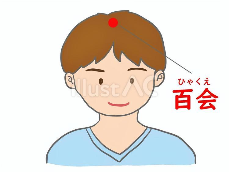 ツボの「百会（ひゃくえ）」 ツボ,鍼灸,東洋医学のイラスト素材