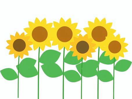 大輪のひまわり