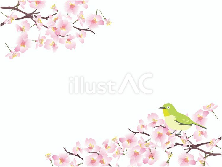 桜の花びら柄背景 春,桜,花のイラスト素材