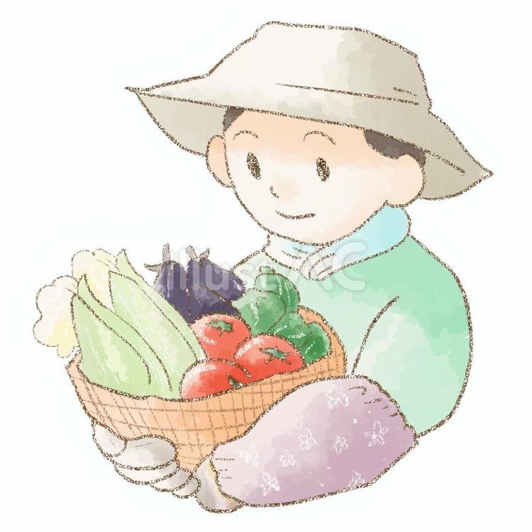 野菜を収穫したひと 人物,夏野菜,帽子のイラスト素材