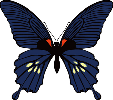 Butterfly (Navy), butterfly, JPG