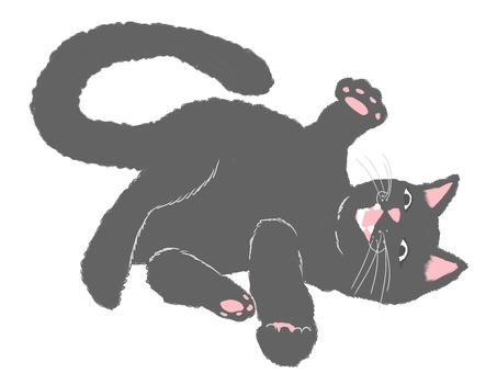 Black cat lying happily, black cat, cat, black, JPG and PNG