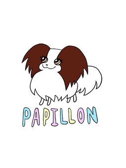 Papillon, dog, a pet, small animals, JPG