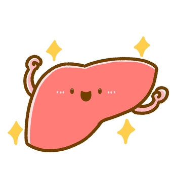 ゆるかわいい肝臓•キラキラ元気 肝臓,臓器,医療,キャラ,キャラクター,シンプル,かわいい,ゆるい,元気,キラキラのイラスト素材