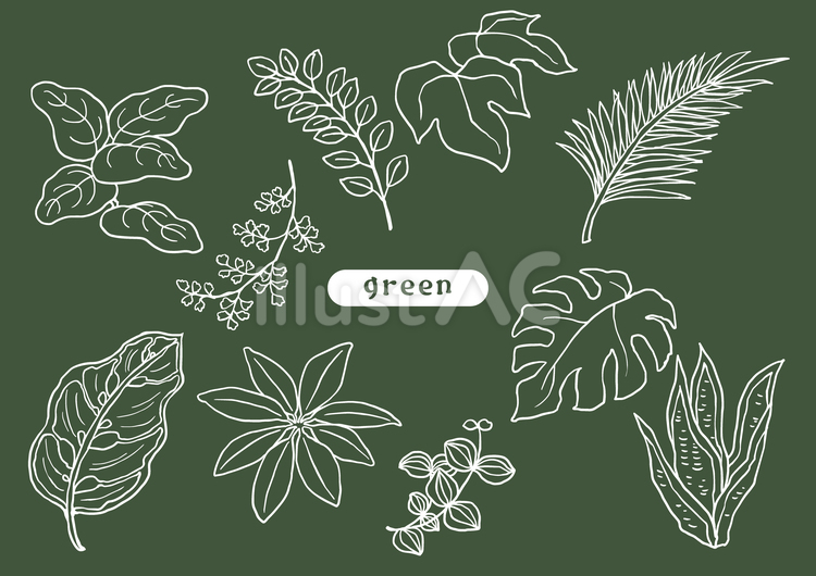 手描き風の観葉植物白線イラストセット 観葉植物,植物,インテリアのイラスト素材