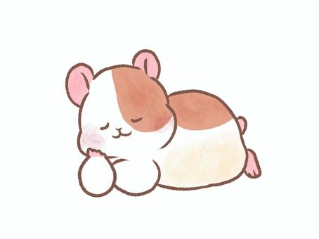 寝転がるハムスター ハムスター,動物,生き物,哺乳類,寝る,頬杖,カットのイラスト素材