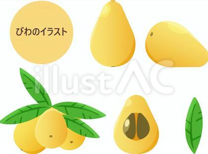 びわ イラスト セット