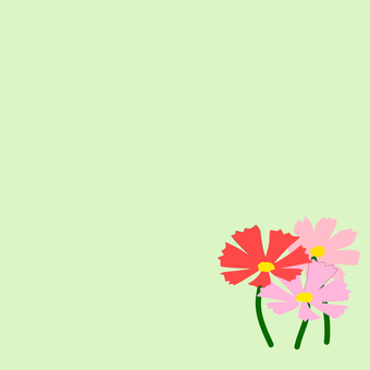 コスモス コスモス,秋桜,花,植物,フラワー,秋,9月,10月,秋の花,赤のイラスト素材
