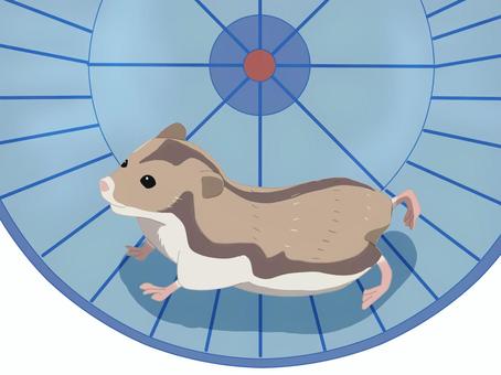 ハムスター（回し車・主線なし） ジャンガリアンハムスター,ヒメキヌゲネズミ,ドワーフハムスター,ハムスター,動物,回し車,主線なしのイラスト素材