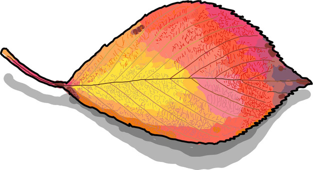 枯葉-01 手描き,簡単,植物,枯葉,落ち葉,秋,色づき,自然,きれい,美しいのイラスト素材
