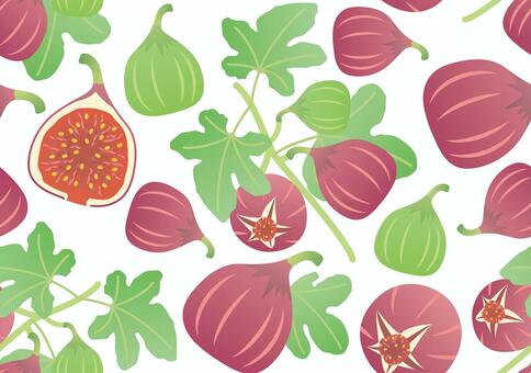 かわいいいちじく-壁紙-1 夏,秋,くだもの,果実,いちじく,無花果,旬の果実,葉,茎,フルーツのイラスト素材