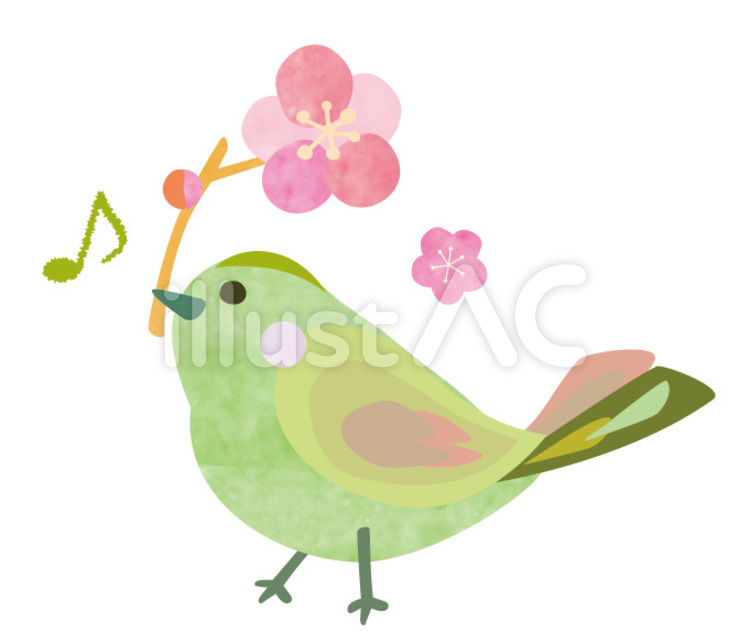 うぐいすと梅の花1 うぐいす,花,鳥のイラスト素材
