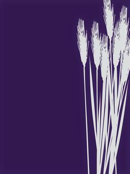 白黒の麦穂シルエット２色　mugi026 麦穂,白黒,リアル,シルエット,ツートーン,ナチュラル,お洒落,自然,植物,大人っぽいのイラスト素材