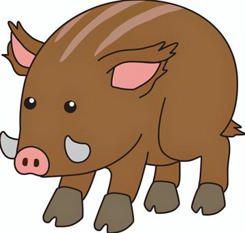 Chinese zodiac (wild boar), , JPG and PNG