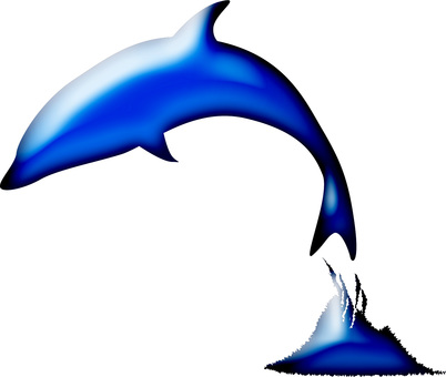 Illustration, dolphin, mammalian, show, 