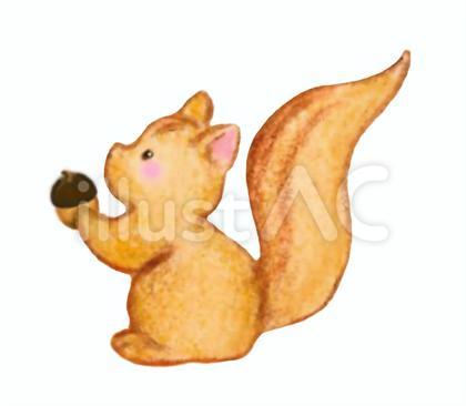リスとどんぐり
